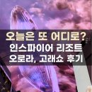 핑크고래 | 인스파이어리조트 아레나 오로라 핑크고래 후기 상영시간 주차요금 위치