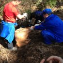 제주특별자치도개발공사(감귤복합처리가공공장) 이미지