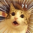 블루베리 편의점 이미지