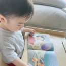 동화책 추천 재미둥이 인성동화 3살 책 추천