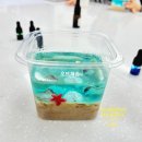 율포초등학교 이미지