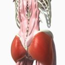 소운소 Ark Gym 이미지