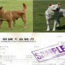 순수 이미지