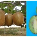 백이산 농장 이미지