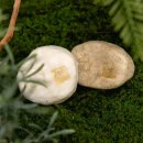 신흥2리(동백마을)농촌체험휴양마을 | [제주 MICE 서포터즈 가온누리 13기] 제주 신흥 2리 동백마을