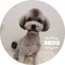 개들의 집 이미지