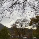 알까네 펫드라이브 | 파주 마장호수 출렁다리 애견동반 브런치카페 &lt;아웃팅카페&gt; 솔직후기(주차,할인정보)