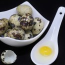 대한메추리 이미지