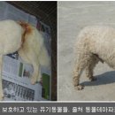 테마팜약국 이미지