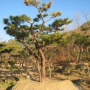 지리산농장 이미지