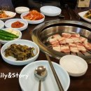 아우네 우리 돼지 이미지