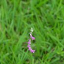 낙동강변7 이미지