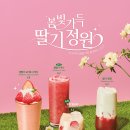셀렉토커피 이미지
