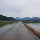 우륵세계음악집 이미지