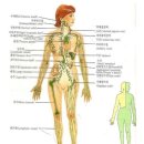 멍테라피 이미지