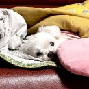 다락곡(고경)2 | 2026 03