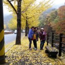 수채화(야간) 이미지