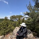 중앙동-16 | 등산 초보가 쓰는 관악산 등산 후기(사당 코스, 서울대 코스, 준비물까지) 🏔️🪵🍃