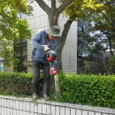 동두천시시민회관 이미지