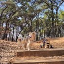 등마루공원 이미지