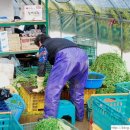 웅이네농장 이미지