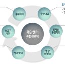 폐암 이미지