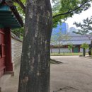 경우인쇄사 네이버블로그