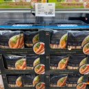 (주)에프에이치아이코리아 | 이번주 코스트코 할인상품ㅣ지금 안사면 손해!(연말준비)