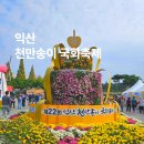 송이패션 | 익산천만송이국화축제 2025 기본정보 주차 실시간 후기