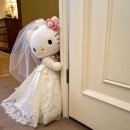 강현 | 본식 사회자 고민 끝! 영상주는 강현 사회자 계약 후기 + 짝꿍할인 코드