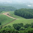 새싹목장 이미지