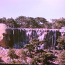 신비로-11 이미지