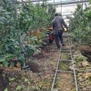 성이농장 이미지