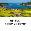 별따라꽃따라 | 완도 청산도 5월 섬여행 후기, 꽃길 따라 걷는 힐링 코스