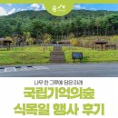 나무 한 그루에 담은 미래, 국립기억의숲 식목일 행사 후기
