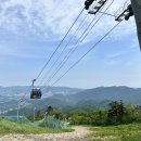대인카프라자 | 평창여행지 추천 발왕산 관광케이블카 ㅣ 디지털관광주민증으로 요금 할인받기!