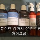[아이그룸] 성분 착한 강아지 샴푸 추천 (직구 구매 후기)