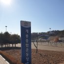 종합운동장 가로수길 이미지