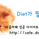 초보 다이어터님들 참고하세요 - 체중조절을 위한 운동 프로그램의 예 이미지