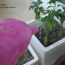 행복이농장 이미지