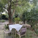 임스김밥 | 여행] 가을 제주 남쪽 여행 6일차 + 오는 정 김밥 포장 한 번에 성공한 꿀팁, 유동 커피, 무드 제주...