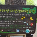 비오는 날 바라산 백운산 등산코스 (인덕원역-바라산_백운산) 20230709 이미지