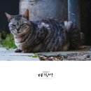 도리1길 이미지