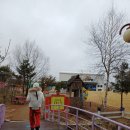 숲속농장 | 대관령 아이와 가볼 만한 곳: '숲속에 동물농장' 먹이주기 체험 솔직 후기