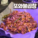 또와 | 다산 곱창 맛집 술집 매콤한 또와불곱창 후기