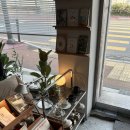 카페로베 - 창원시 진해구 여좌남로 80-1 | 카페로베