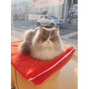 동산동물병원 이미지