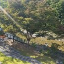 카페1251 이미지
