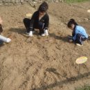 심성 농장 이미지