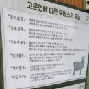 원두막 흑염소 이미지